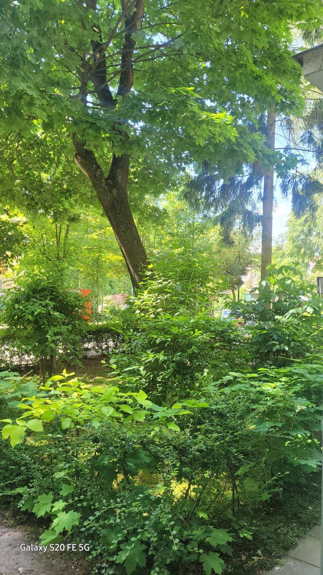 Apartament Przy Parku Nałęczów Eksteriør bilde