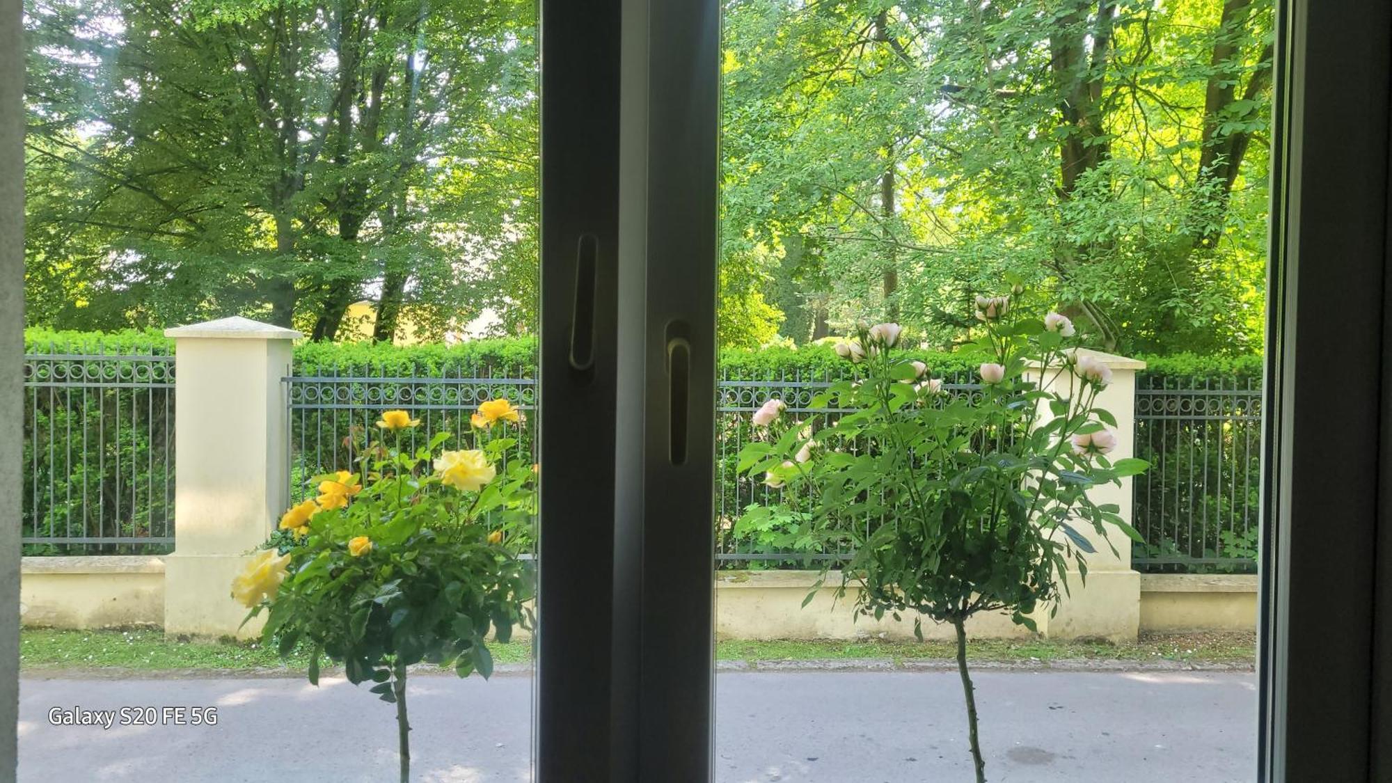 Apartament Przy Parku Nałęczów Eksteriør bilde